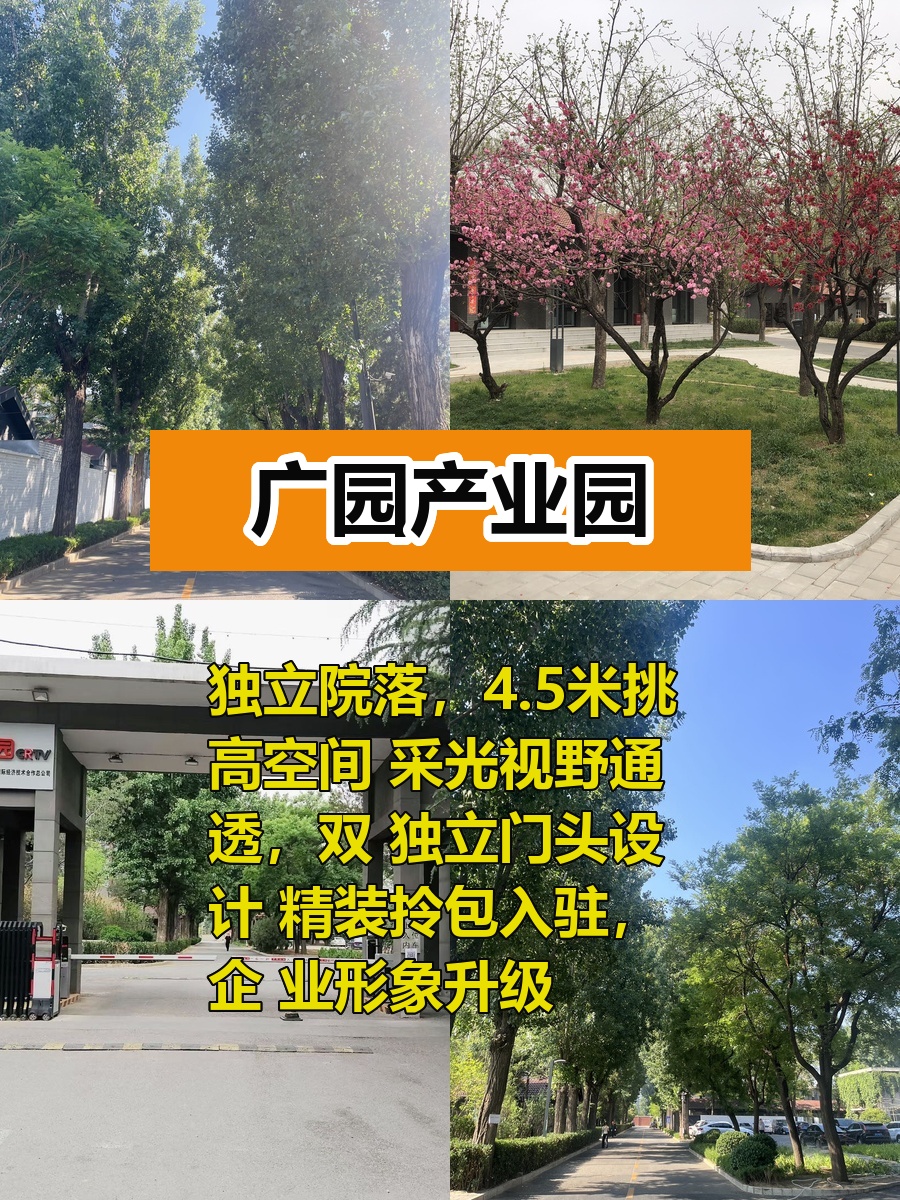 独立院落460㎡ 4.5米挑高