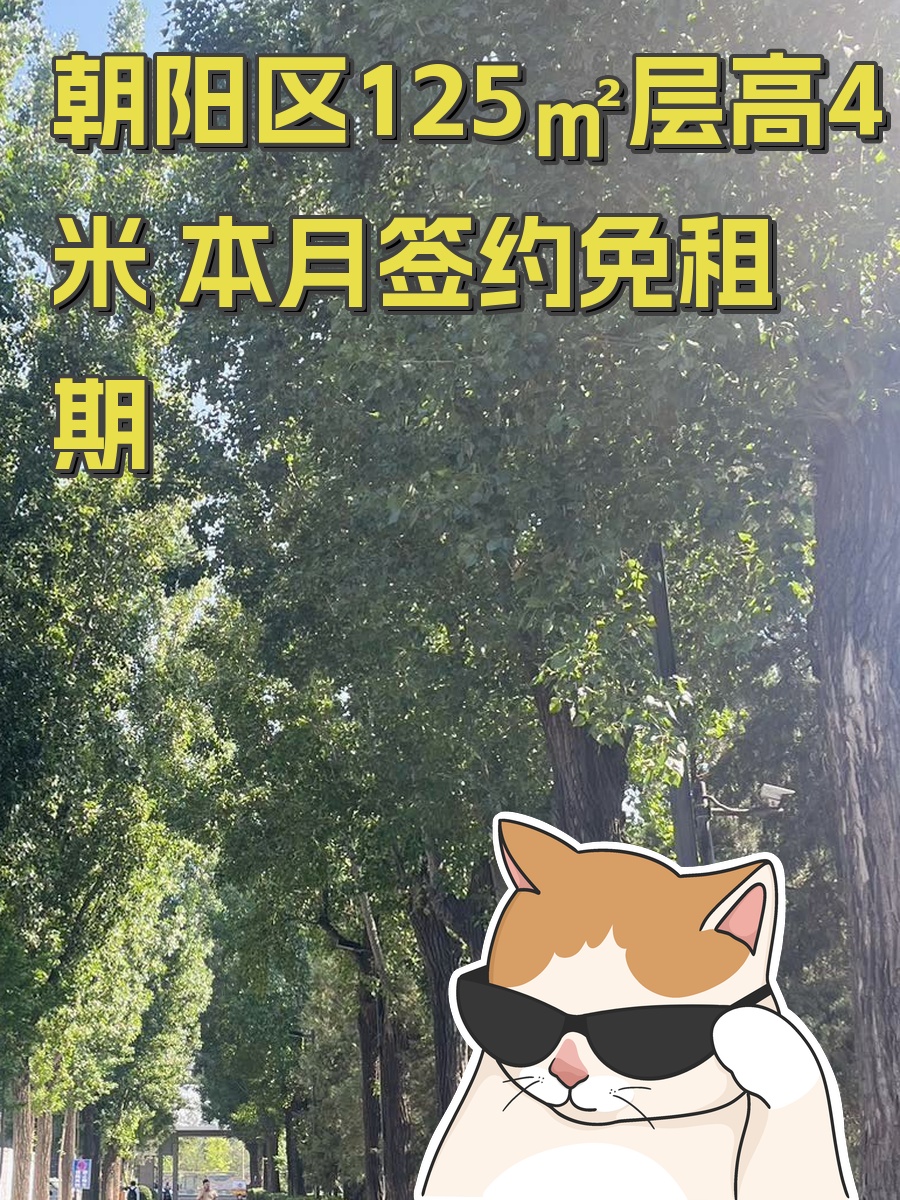 朝阳区125㎡层高4米 本月签约免租期
