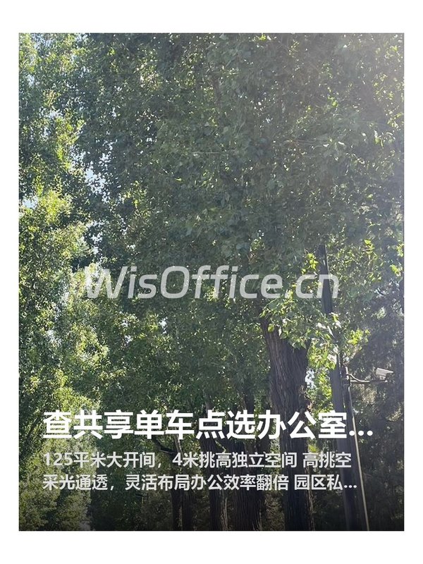 查共享单车点选办公室，靠谱 - 首图