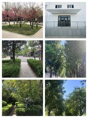 125㎡大开间 层高4米 灵活布局 - 缩略图 1