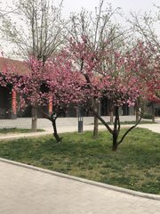 东四环 125㎡ 高挑空租金低15% - 缩略图 1