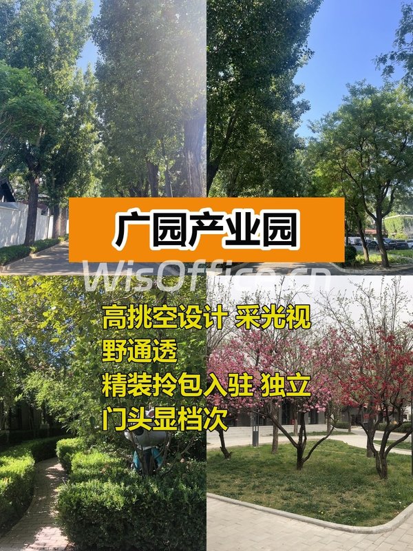 125㎡大开间办公 灵活布局效率翻倍 - 首图