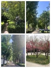 125平米如何撬动办公效率翻倍？ - 缩略图 1