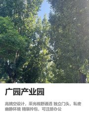 125平办公空间，效率翻倍的秘密 - 缩略图 1