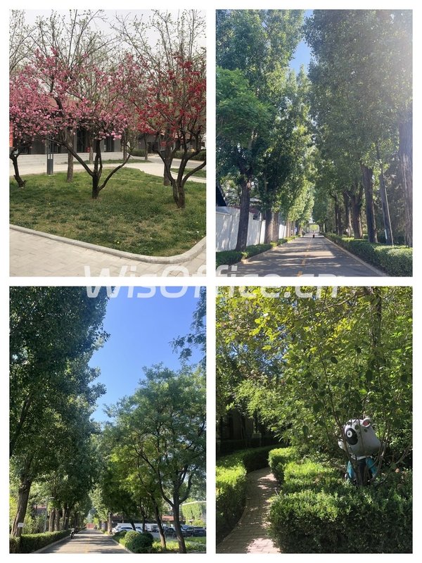 东四环大开间，125平精装办公 - 首图