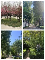 东四环大开间，125平精装办公 - 缩略图 1