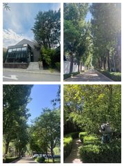 创意公司疯抢！独院双门头办公私密性拉满 - 缩略图 1