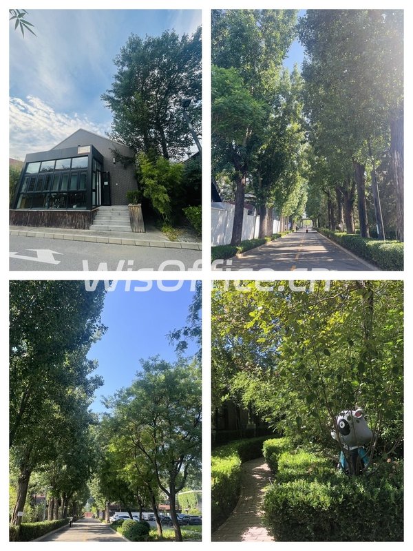 创意公司疯抢！独院双门头办公私密性拉满 - 首图