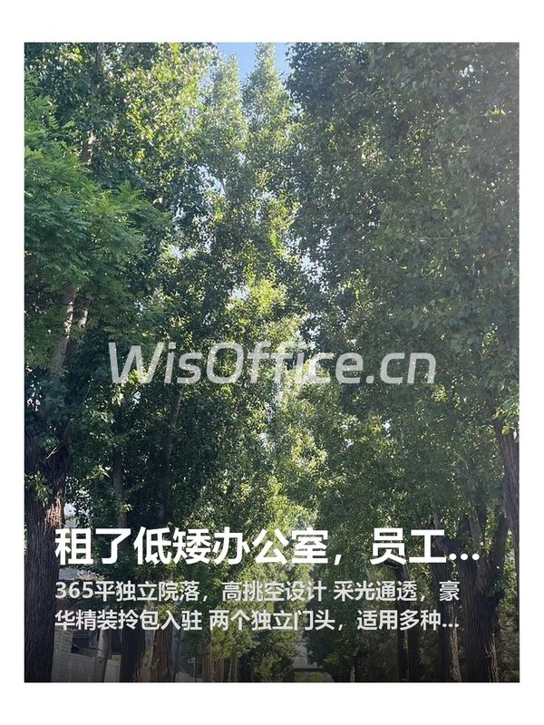 租了低矮办公室，员工效率降三成 - 首图