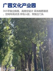 百子湾独院租金低至两杯咖啡价 - 缩略图 1