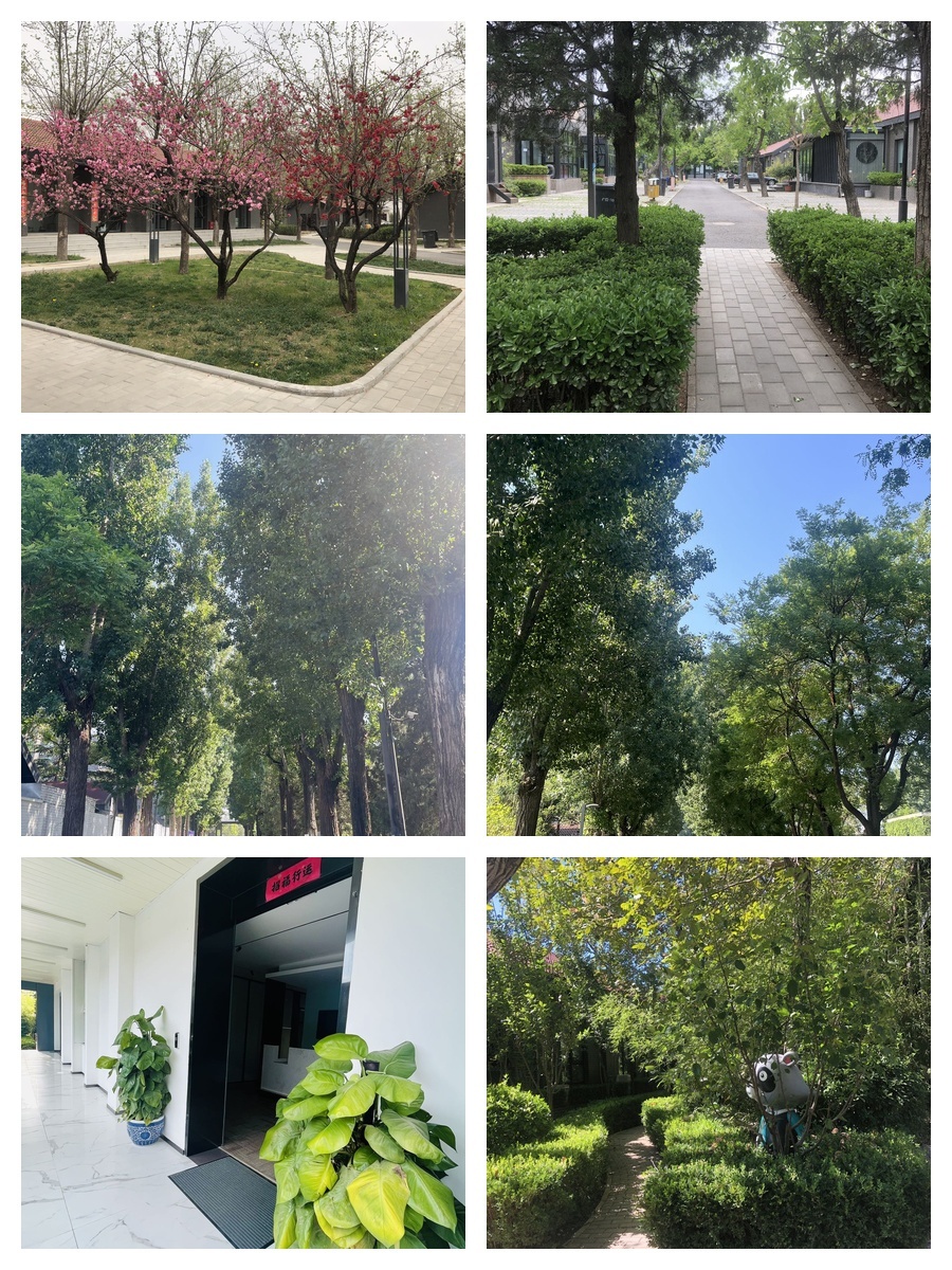 百子湾独立院落 520㎡ 层高挑空 双门头