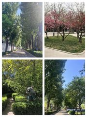 独栋办公如何重塑团队效率？ - 缩略图 1