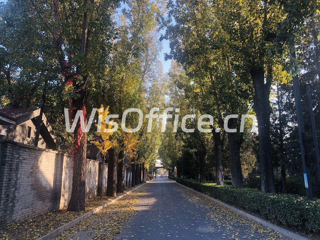 广园文化产业园独栋院落320平 - 首图