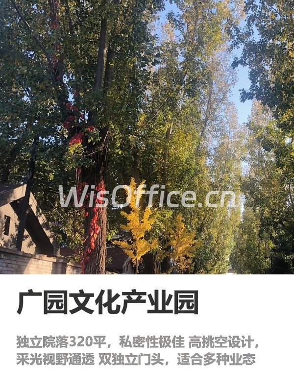 我做企业选址8年，今年只找独院办公 - 首图