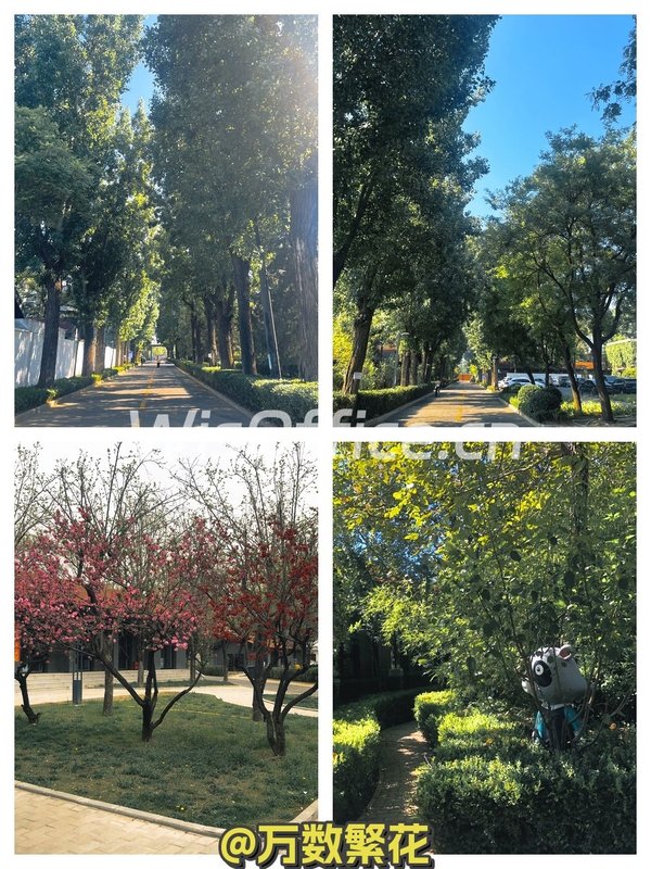 广园文化产业园 155平 独院 高挑空 精装 - 首图