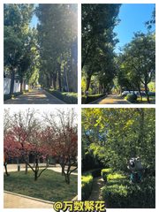 广园文化产业园 155平 独院 高挑空 精装 - 缩略图 1