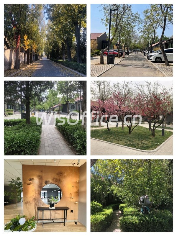 成本控制优选 320㎡ 层高3米 独立院落 - 首图