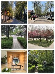 成本控制优选 320㎡ 层高3米 独立院落 - 缩略图 1