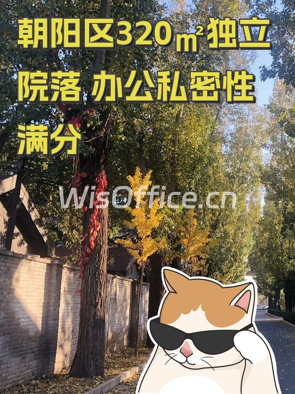 朝阳区320㎡独立院落 办公私密性满分 - 首图
