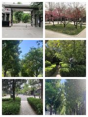 百子湾450㎡独栋院落 层高4.5米 园区中心位置 - 缩略图 1