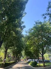 百子湾唯一450㎡花园院落 层高3.5米 - 缩略图 4