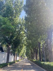 朝阳区365㎡ 高挑空15%低于周边 - 缩略图 4