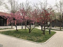 东四环产业园，租金低至一杯咖啡价 - 缩略图 3