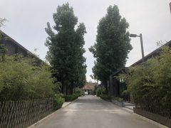 东四环独栋，租金低至一杯咖啡价 - 缩略图 4