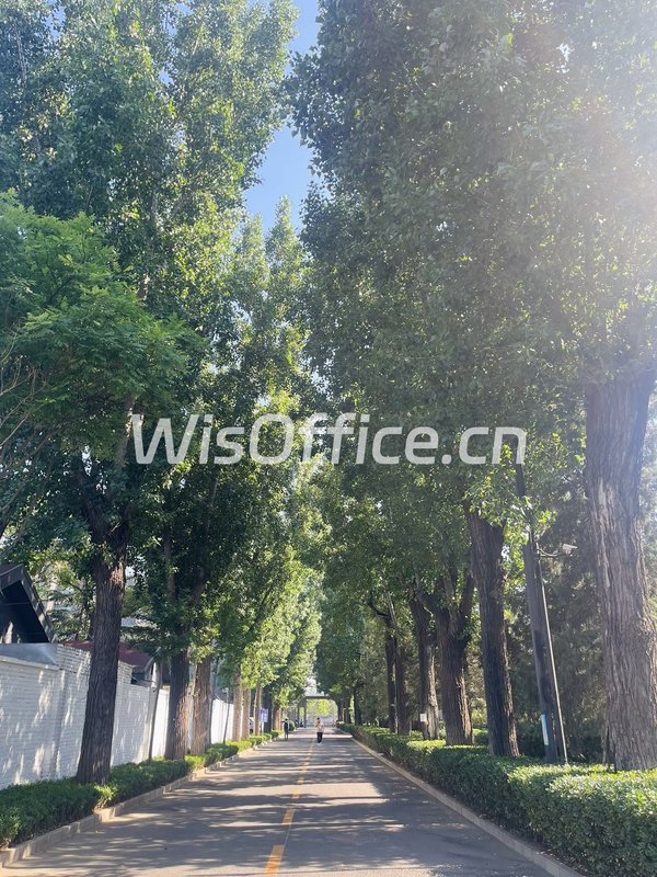 广渠路独栋155平 独立院落 高挑空 - 首图