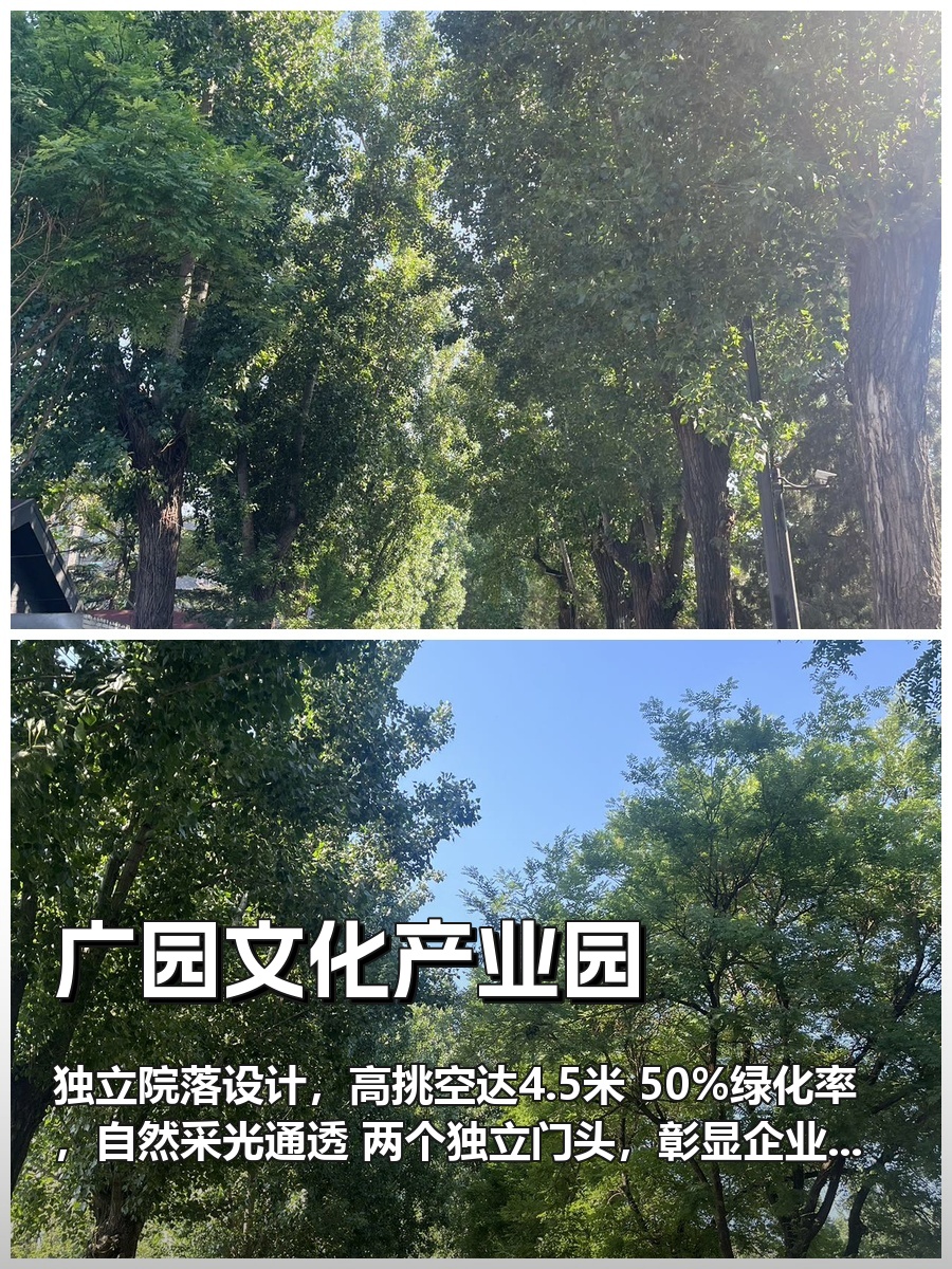 如何让365天办公都充满阳光？