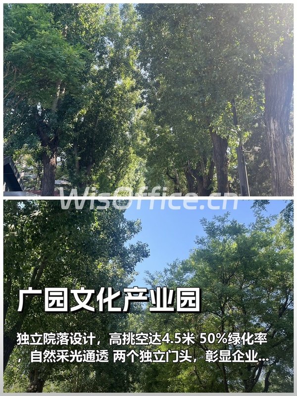 如何让365天办公都充满阳光？ - 首图