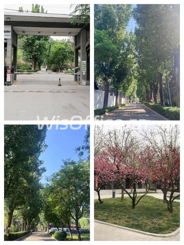 花园办公如何提升团队创造力？ - 首图