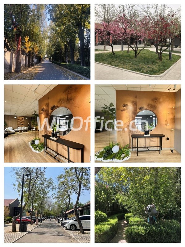 朝阳区320㎡独院 层高4米 私密办公 - 首图