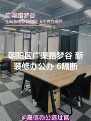 广渠路梦谷 独栋新装修 6隔断 - 缩略图 1