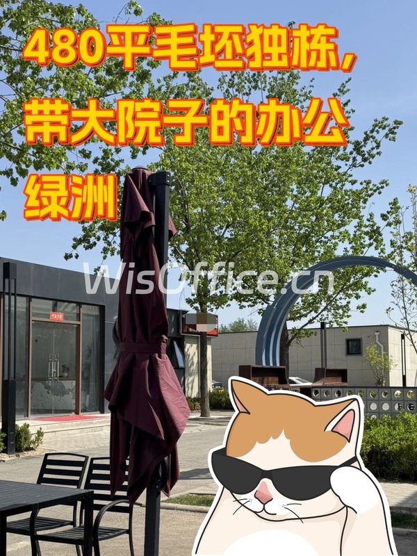 480平毛坯独栋，带大院子的办公绿洲 - 首图