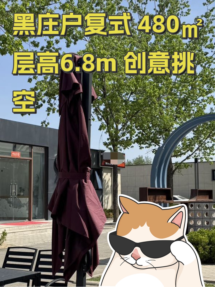 黑庄户复式 480㎡ 层高6.8m 创意挑空