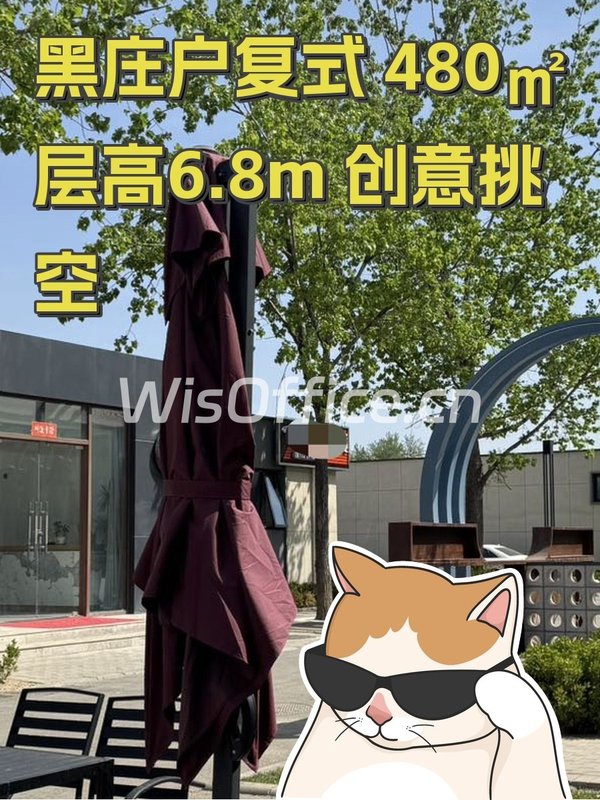 黑庄户复式 480㎡ 层高6.8m 创意挑空 - 首图