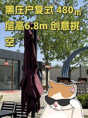黑庄户复式 480㎡ 层高6.8m 创意挑空 - 缩略图 1
