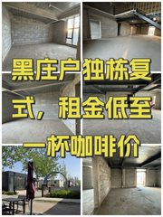 黑庄户独栋复式，租金低至一杯咖啡价 - 缩略图 1