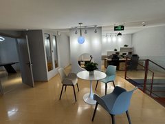 朝阳区现房 影梦空间265平 艺术LOFT 私人花园 - 缩略图 13