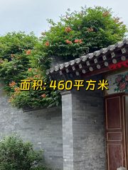 双桥合院办公，私密感拉满 - 缩略图 1