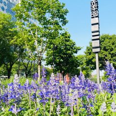 光华SOHO二期875平 邻地铁多线 7间隔断 - 缩略图 4