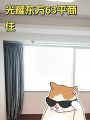 光耀东方63平商住公寓 - 缩略图 1