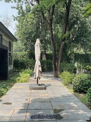 双桥独栋470平 新装修 大庭院 - 缩略图 21