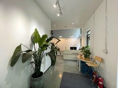双桥独栋470平 新装修 大庭院 - 缩略图 22