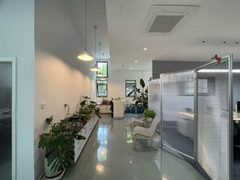 双桥独栋470平 新装修 大庭院 - 缩略图 25