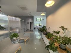 双桥独栋470平 新装修 大庭院 - 缩略图 26