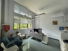 双桥独栋470平 新装修 大庭院 - 缩略图 27