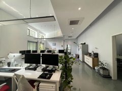 双桥独栋470平 新装修 大庭院 - 缩略图 33