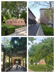 政策红利如何重塑企业选址逻辑？ - 缩略图 1